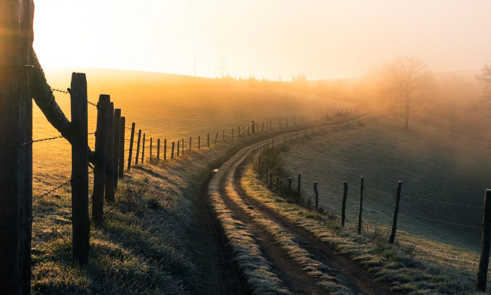 early morning countryside with ECA